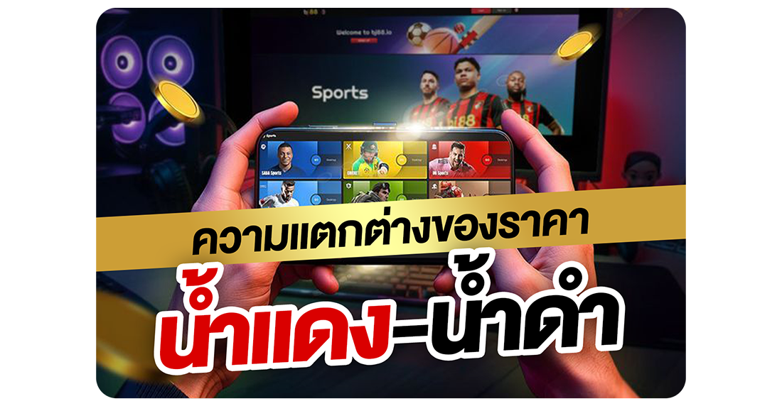 บทความ ความแตกต่างของราคาน้ำแดง-น้ำดำ คืออะไร? วิธีคิดค่าน้ำ คำนวณกำไร–ขาดทุนแบบง่าย 2025